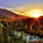 Avatar of Nasir Zaman